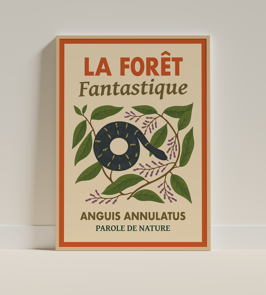 Forêt Fantastique