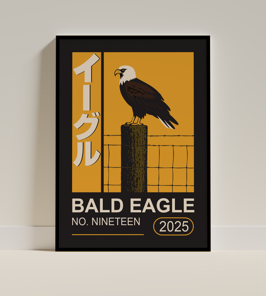 Bald Eagle
