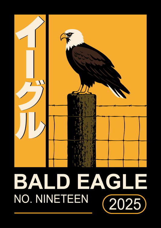 Bald Eagle
